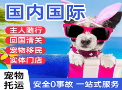 哈尔滨平房空运国际宠物托运 【国